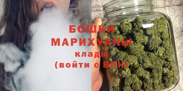 PSILOCYBIN Алзамай