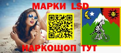 Альфа ПВП Гатчина