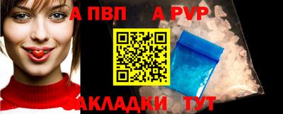 амф Гай