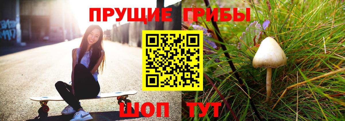 Клин  Галлюциногенные грибы мицелий  Вход с VPN 