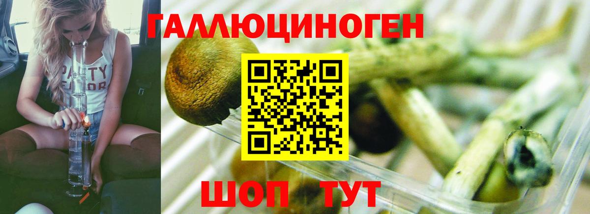 Галлюциногенные грибы прущие грибы Клин